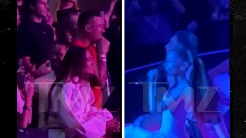 Two blurry concert venue stills from a TMZ video showing figures in a crowd under pink and blue stage lighting.