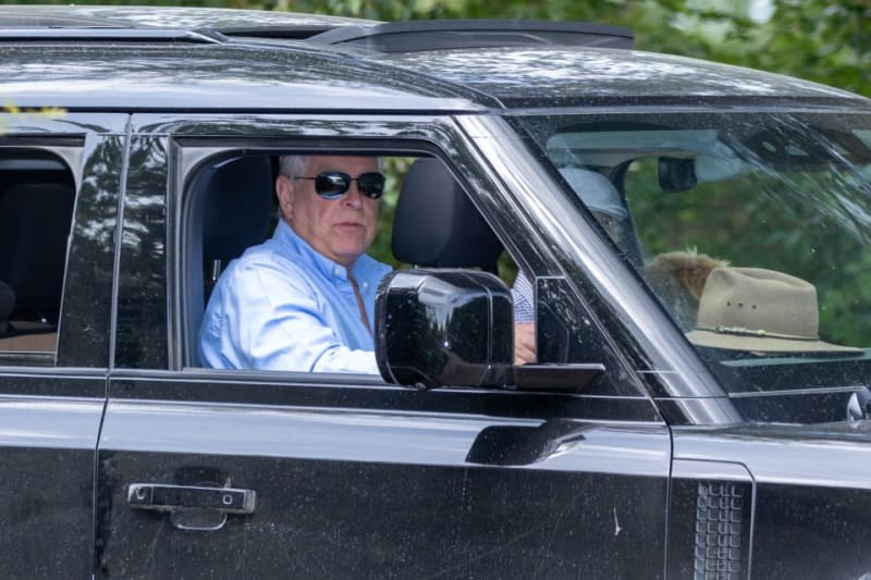 A man in a blue shirt and sunglasses drives a dark SUV on a tree-lined road.