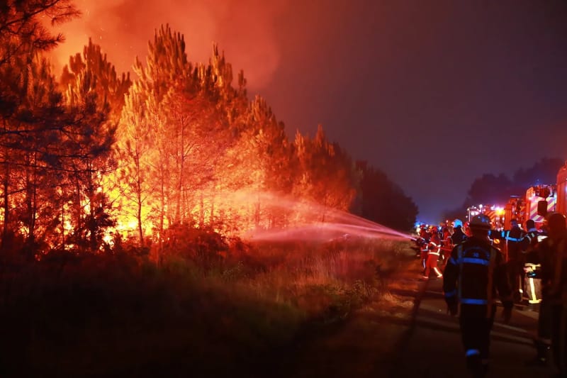 A line of firefighters in full protective gear and helmets direct multiple water hoses toward a large wildfire engulfing tall pine trees along a road at night, with red and orange flames illuminating the sky and emergency vehicles visible in the background.