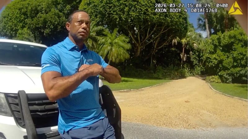Man in blue polo shirt standing by white vehicle on driveway with palm trees and greenery in background.