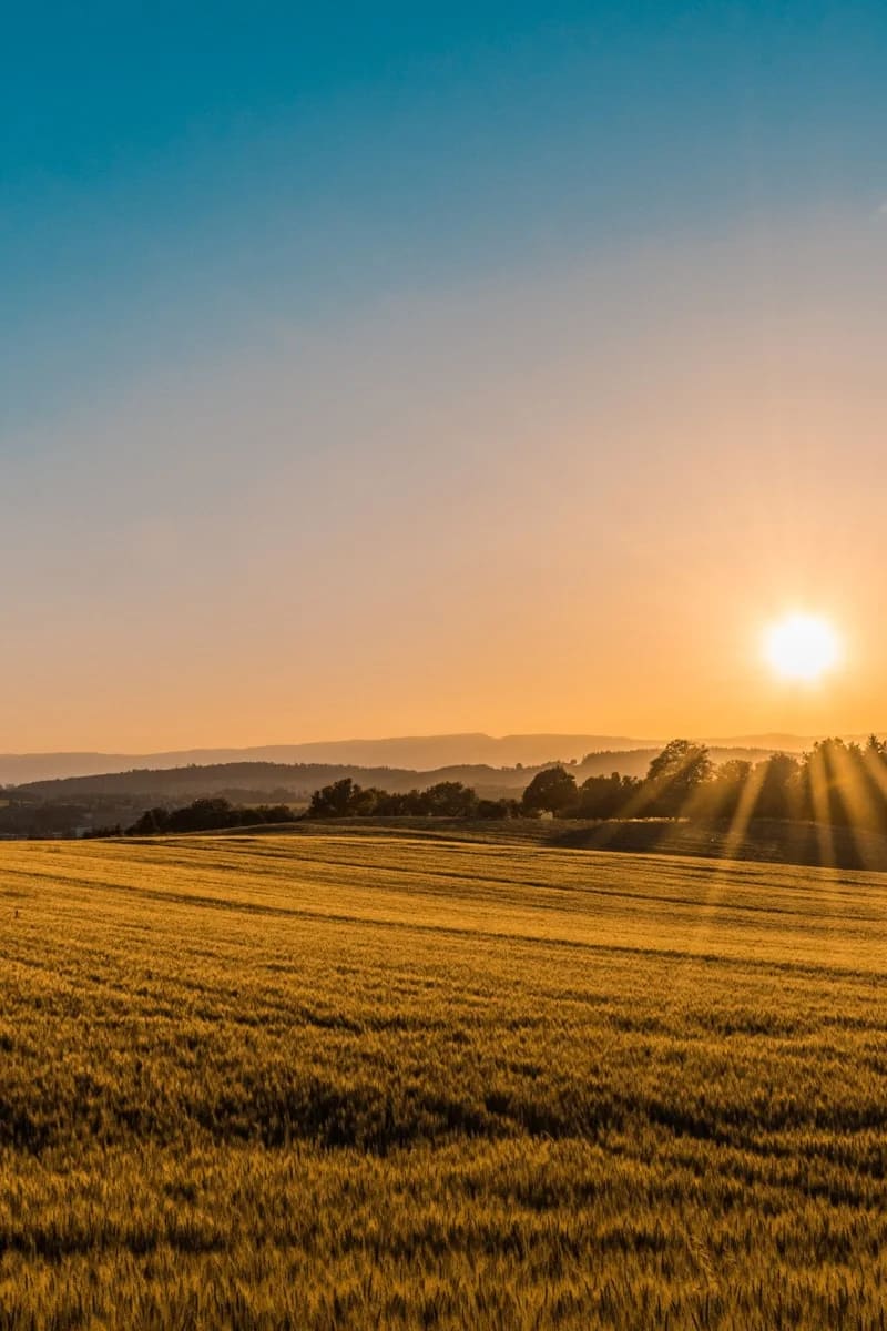 West End neighborhood scene representing professional General Cleaning services in the area