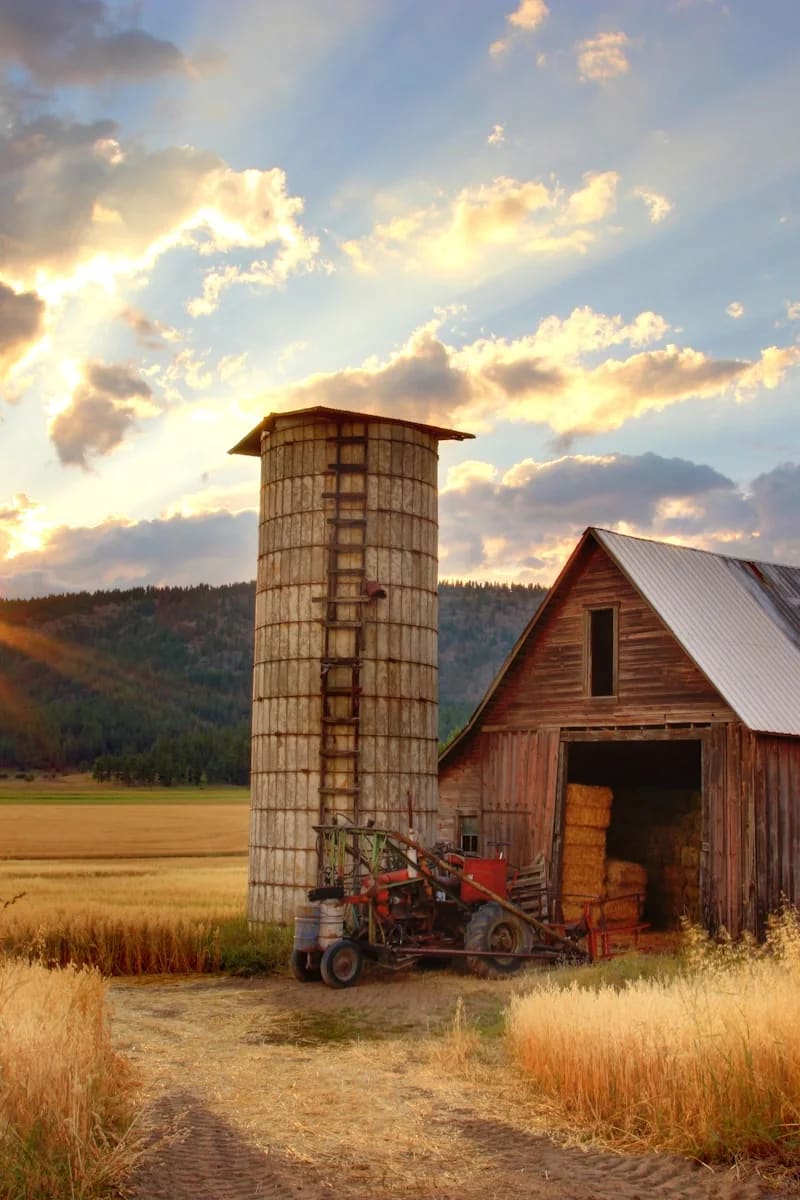 Scenic view of Delta representing the local community served by Educational Cleaning services