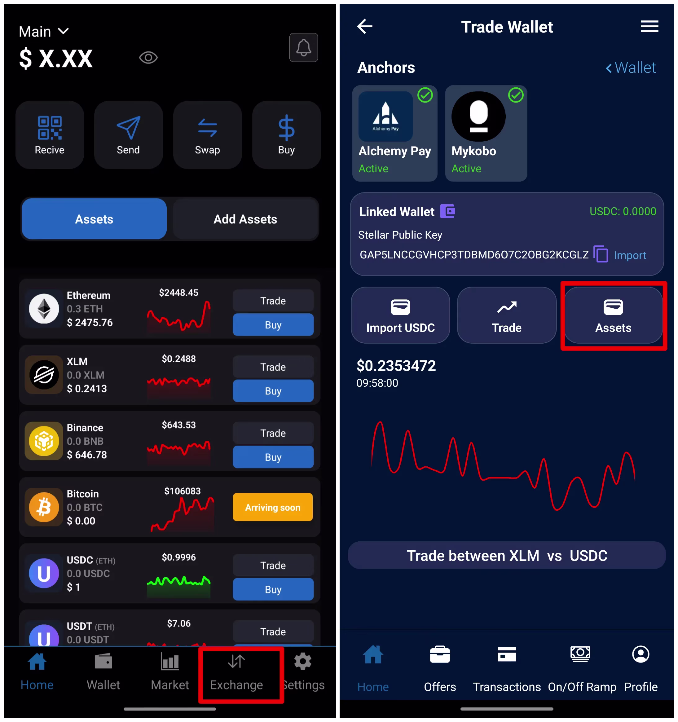 Step 1: Go to Assets