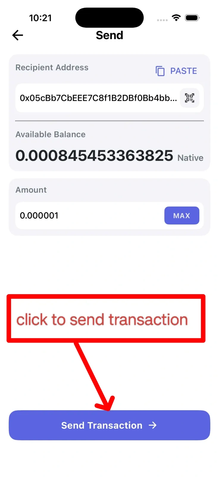 Step 4: Enter Amount