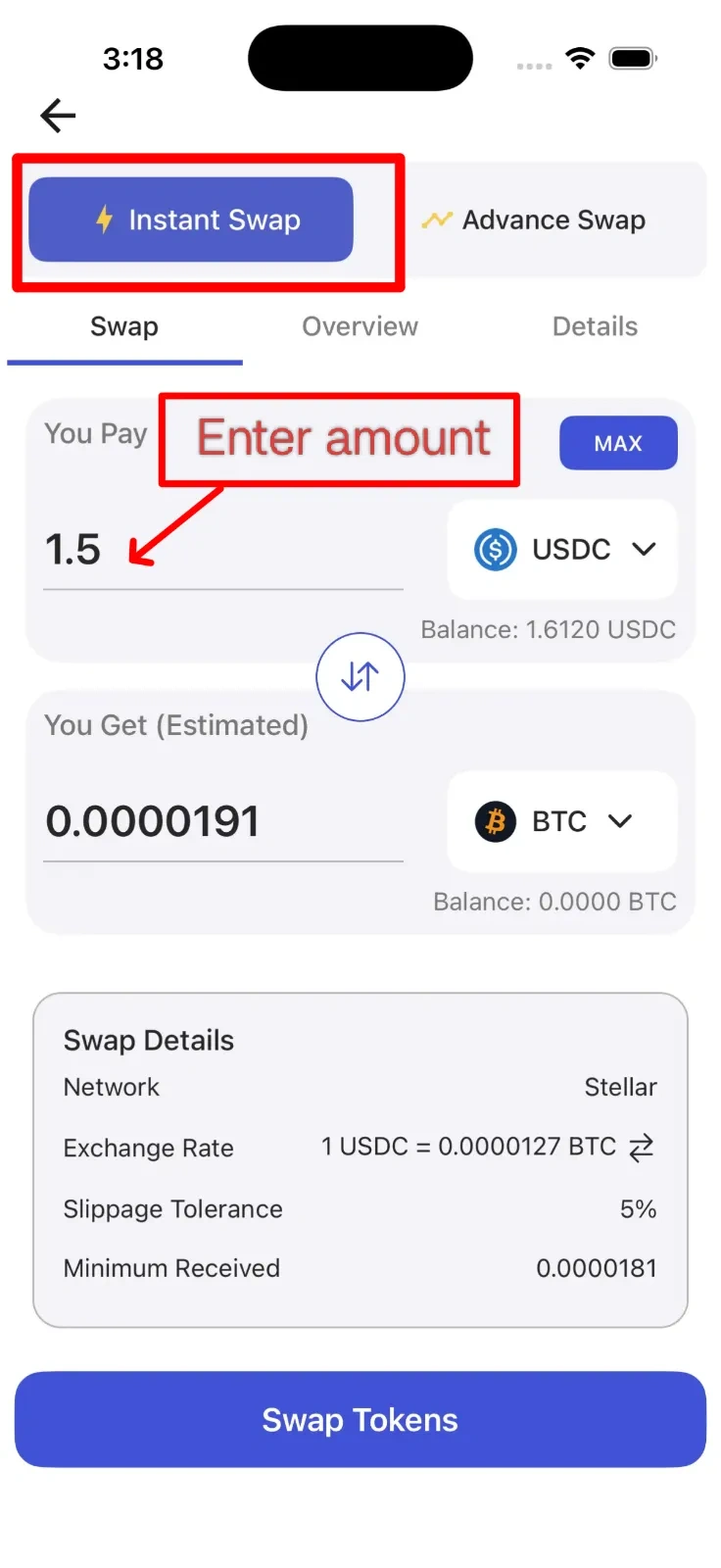 Step 3: Enter Amount