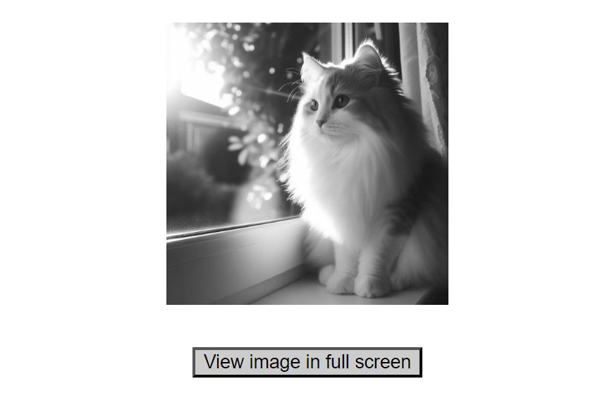 Grayscale image of a cat with a button to view image in full screen mode below.