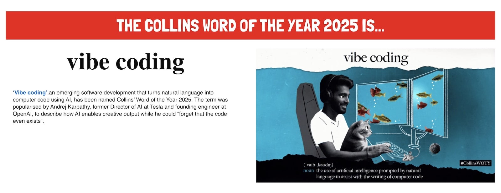 Collins Dictionary 2025 Word of the Year announcement showing vibe coding