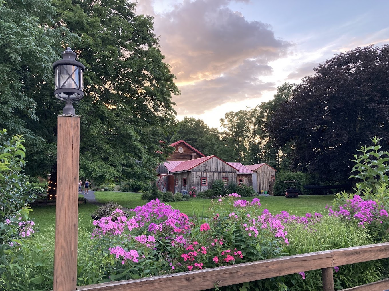 Red Maple Vineyard