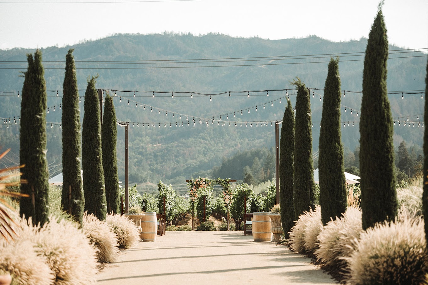 Brindare Napa Valley