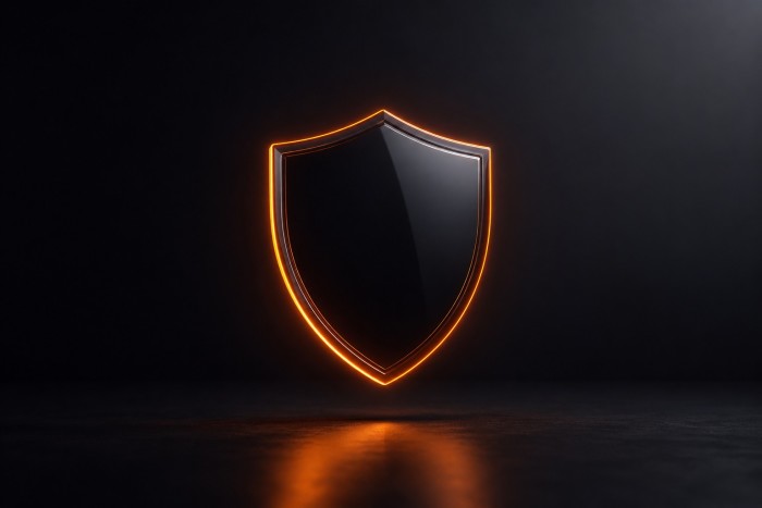 Sécurisé — bouclier code