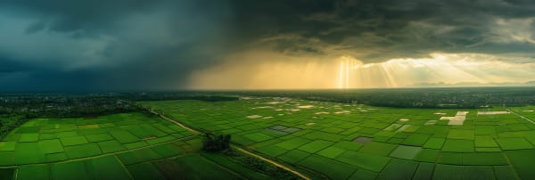 Saisons Thaïlande météo