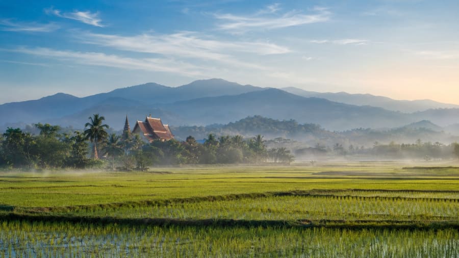 Rizières et temple Lanna au matin dans le nord de la Thaïlande, près de Chiang Mai
