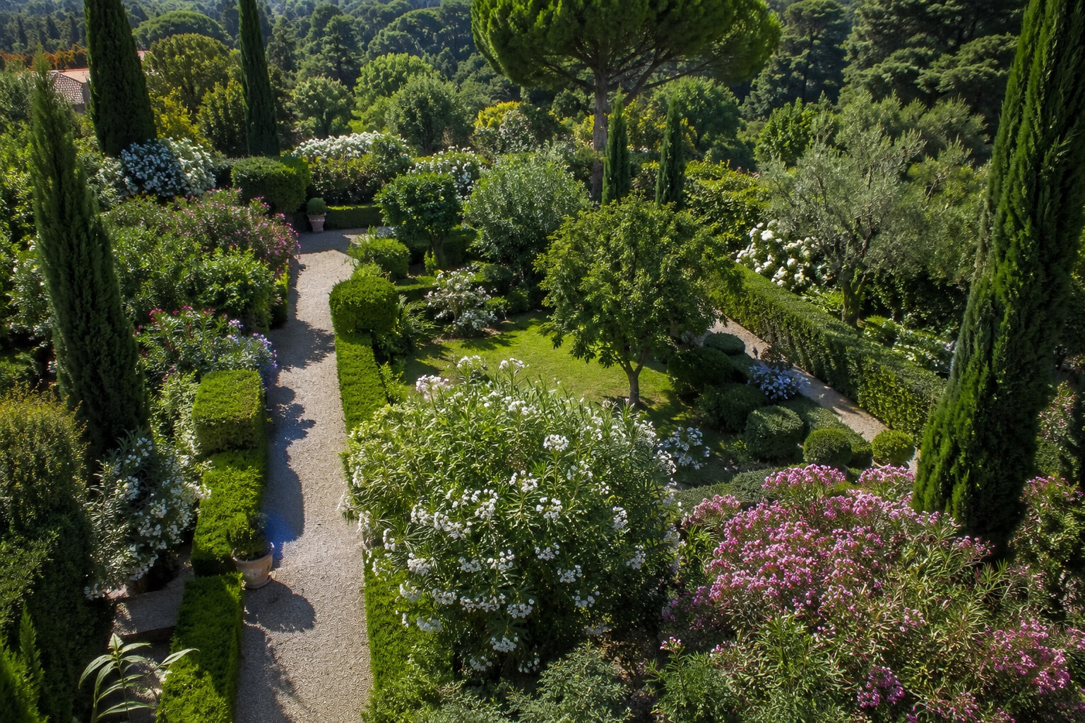 Jardin paysager vu de haut : allée en gravier bordée de cyprès