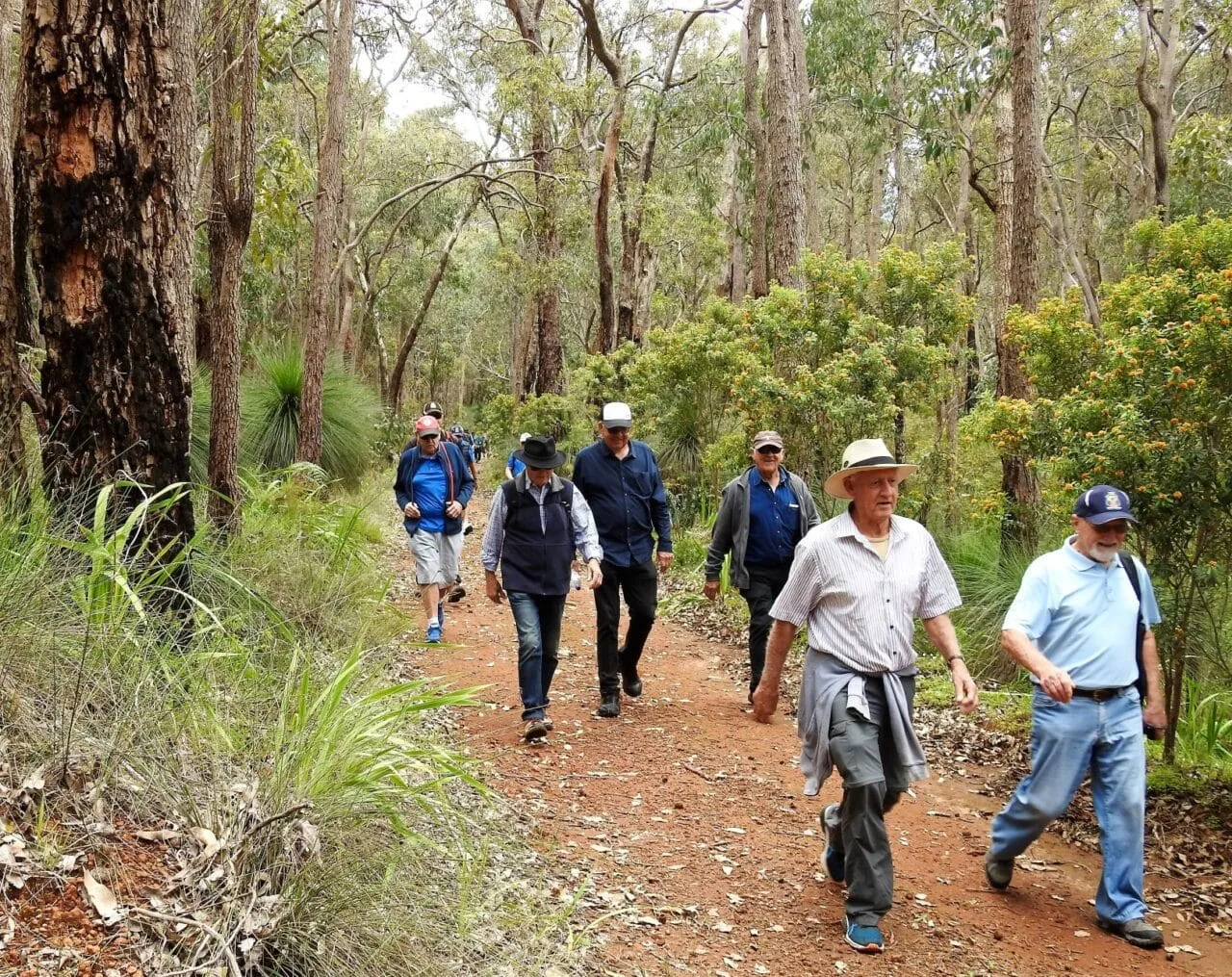 Galleries 250 Z JMcK 2