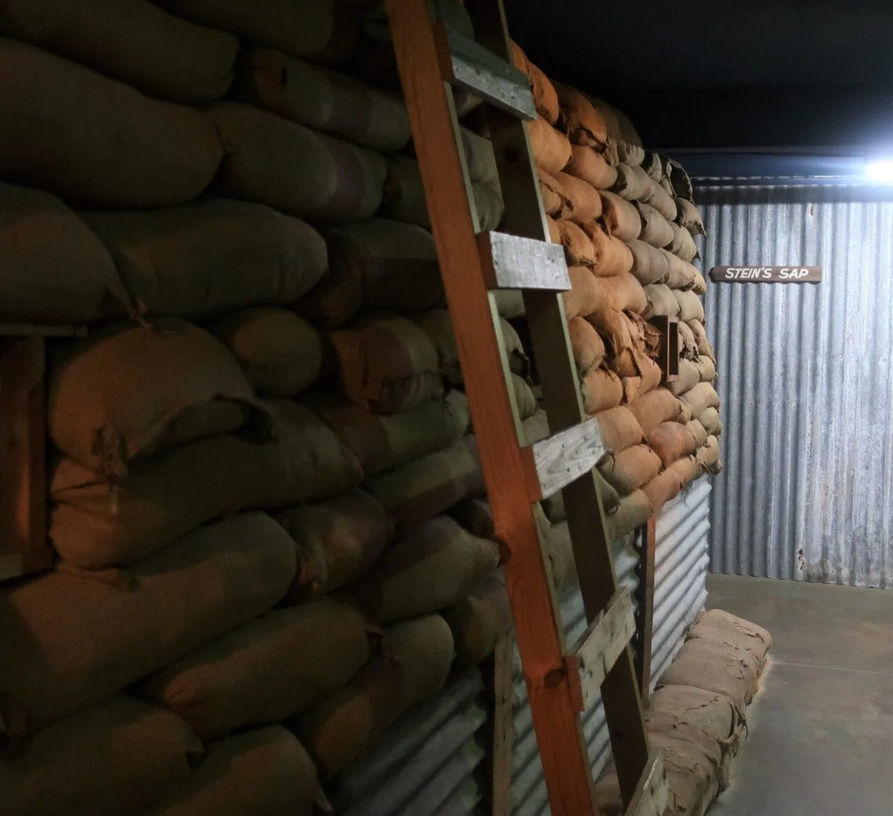 Galleries 237 IMG 1545