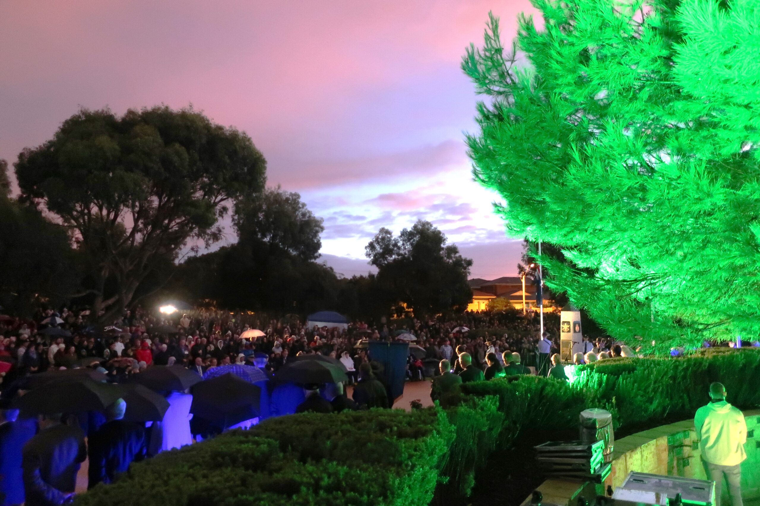 Galleries 77 IMG 2116 scaled