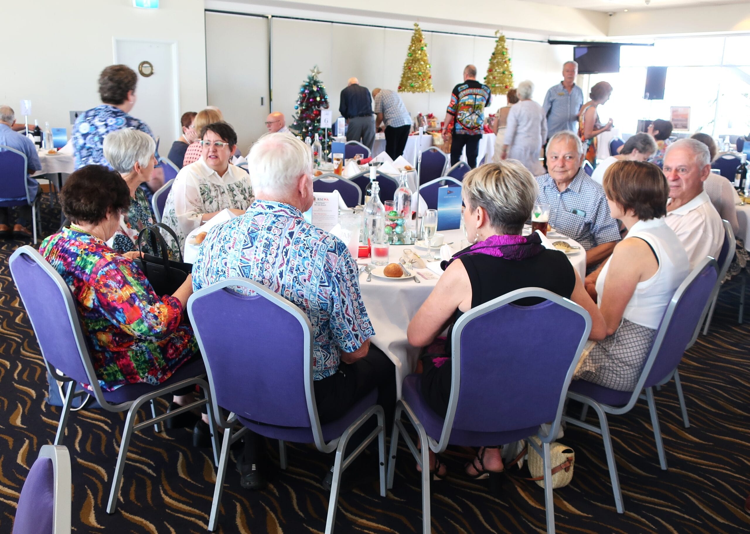 Galleries 183 IMG 1954 scaled