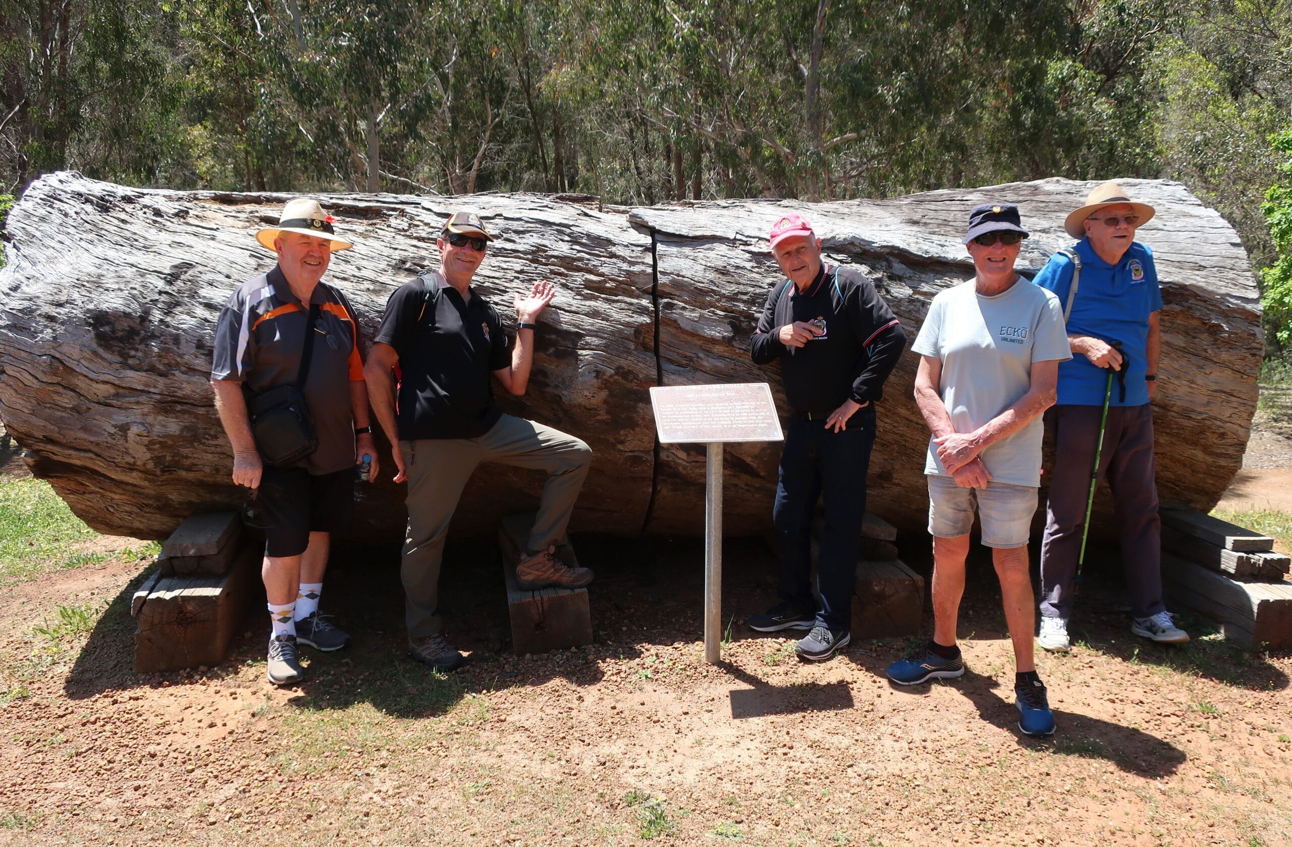 Galleries 162 IMG 1892 scaled