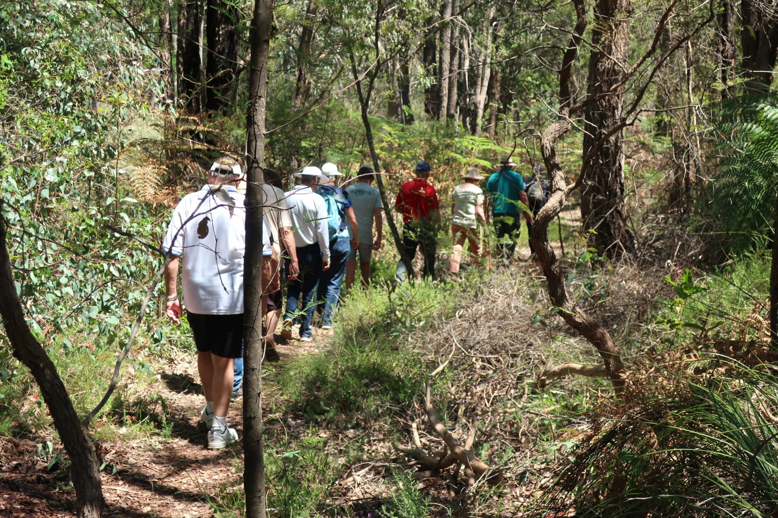 Galleries 163 IMG 1891 scaled