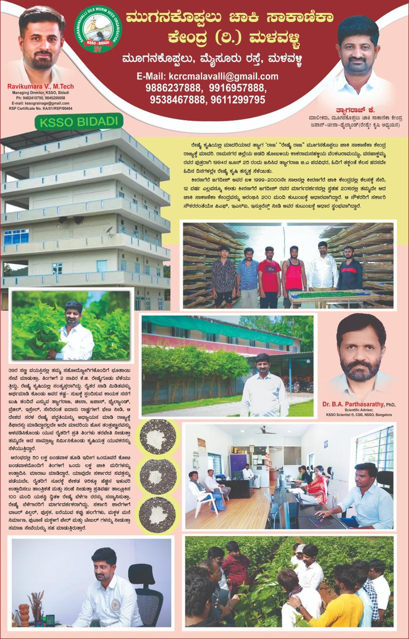 Educational poster regarding sericulture best practices