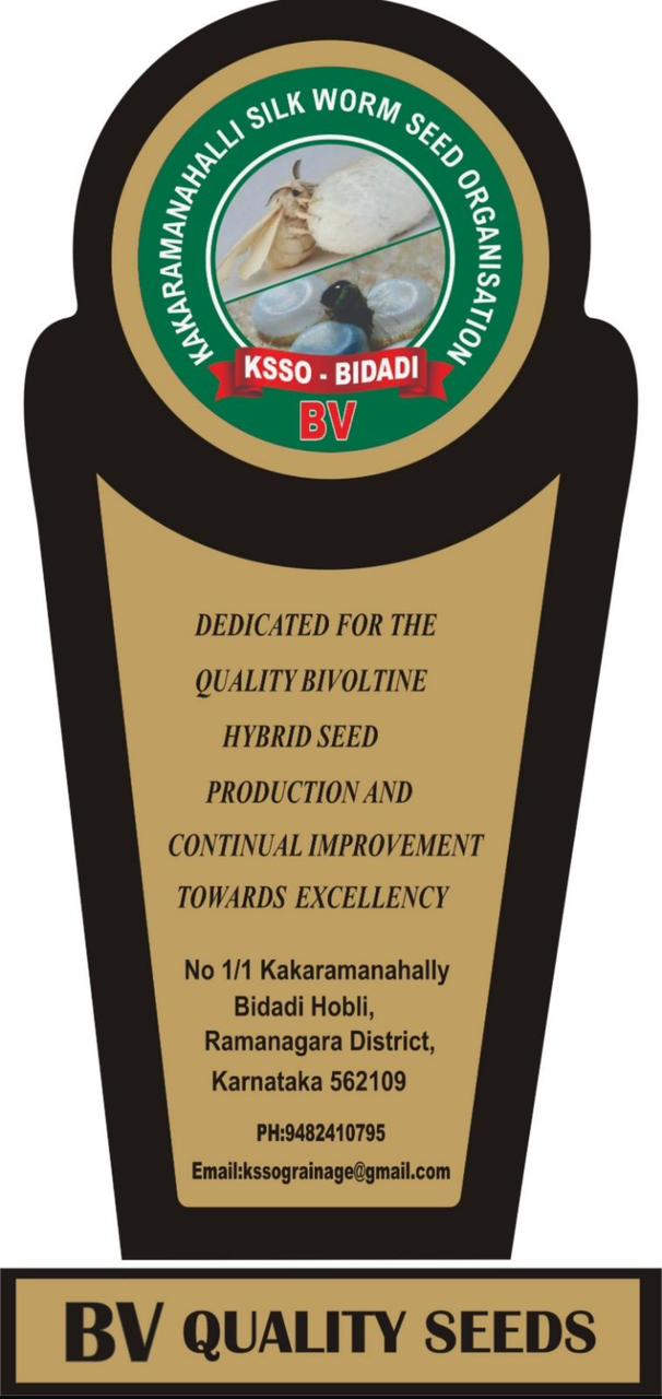 BV Quality Seeds excellence award trophy