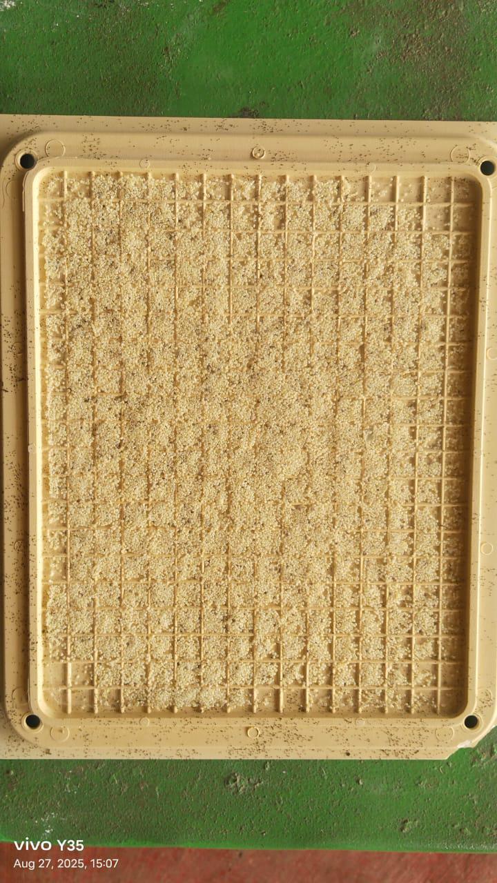 Ksso Cold Storage hatching results