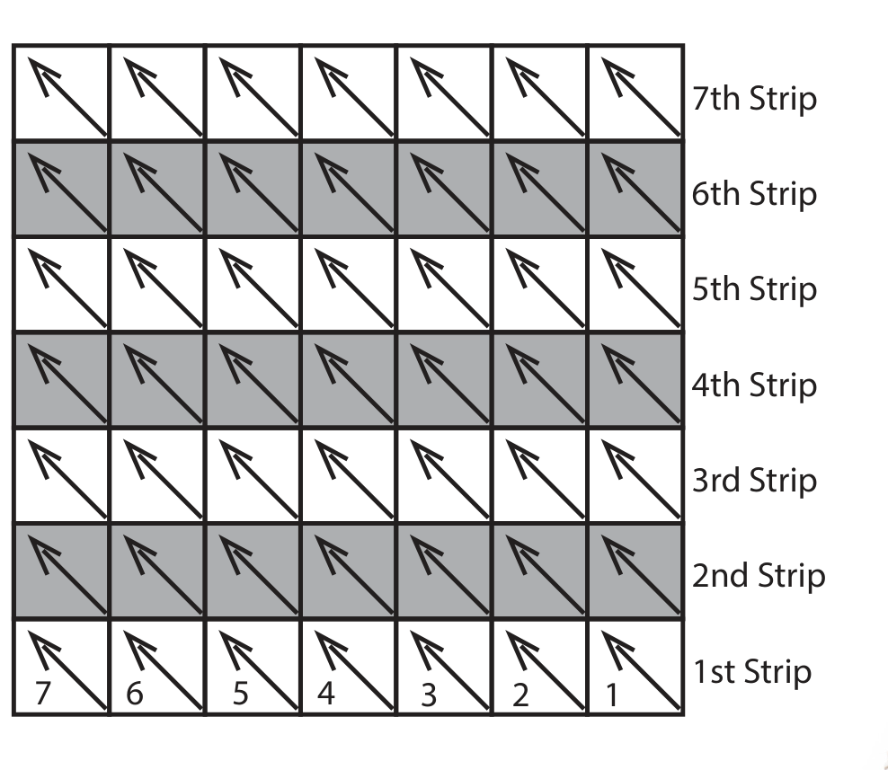 Schematic layout of strips