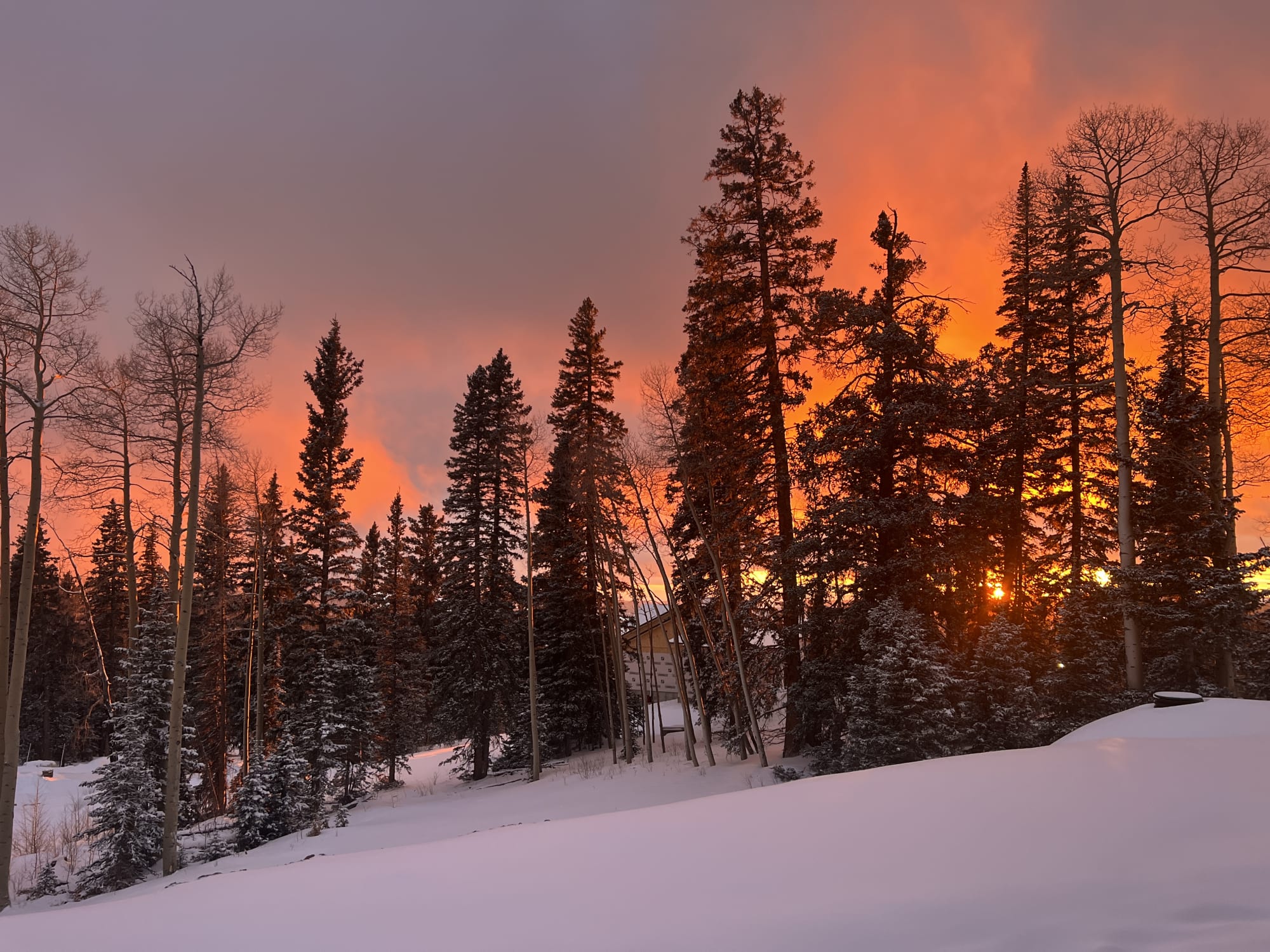 Roger's Hot Home photo