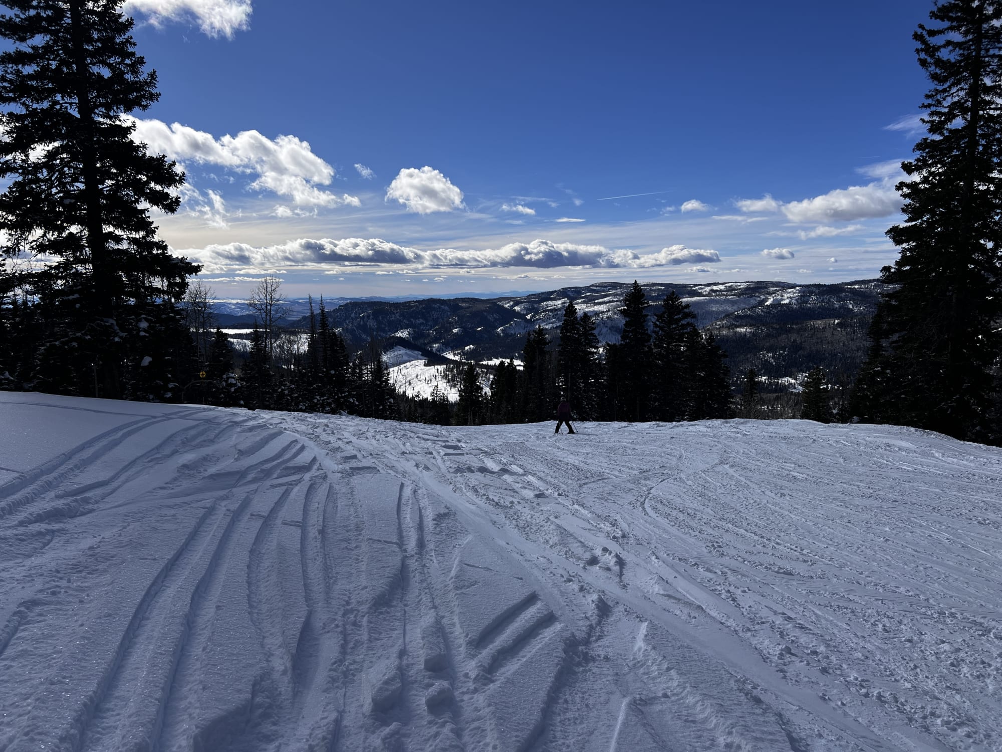Rocky Mountain Cabin photo