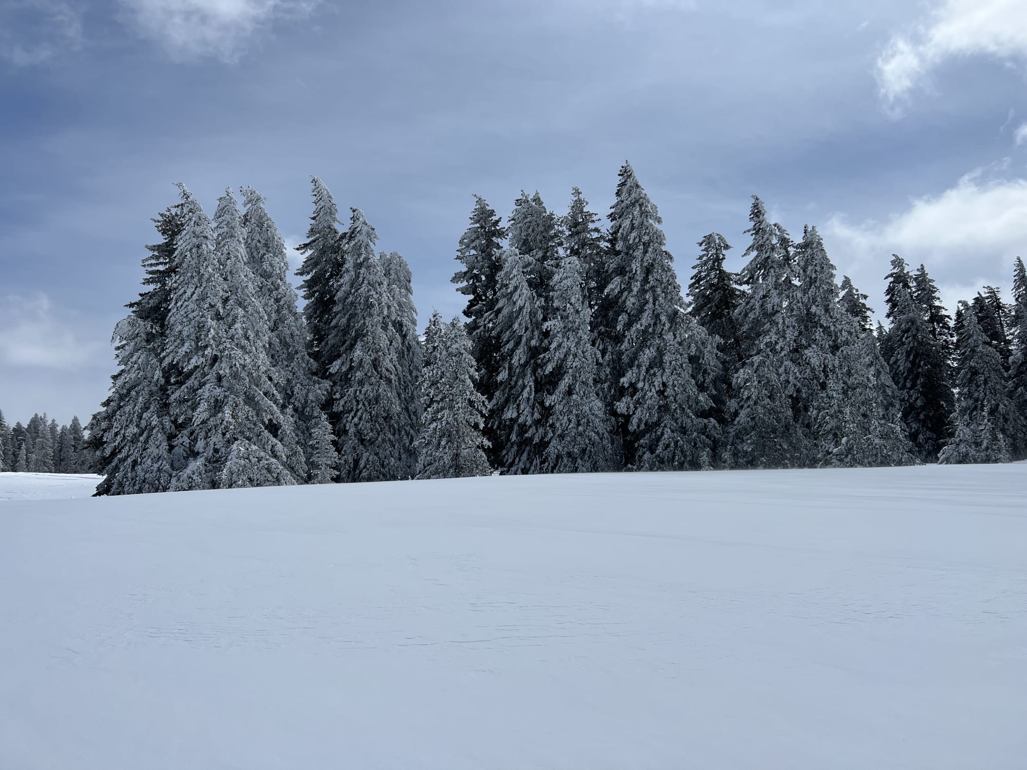 Rocky Mountain Cabin photo