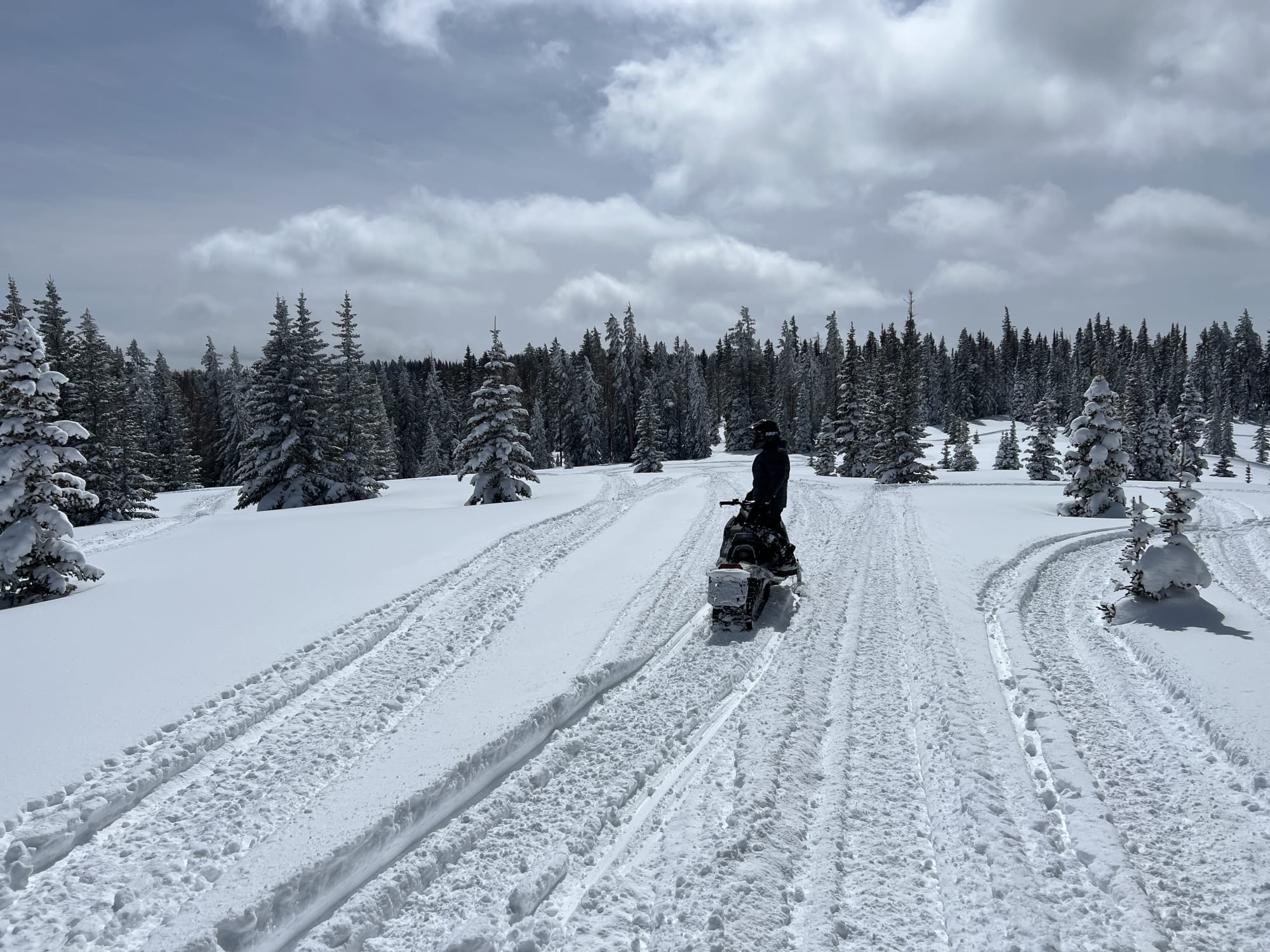 Rocky Mountain Cabin photo