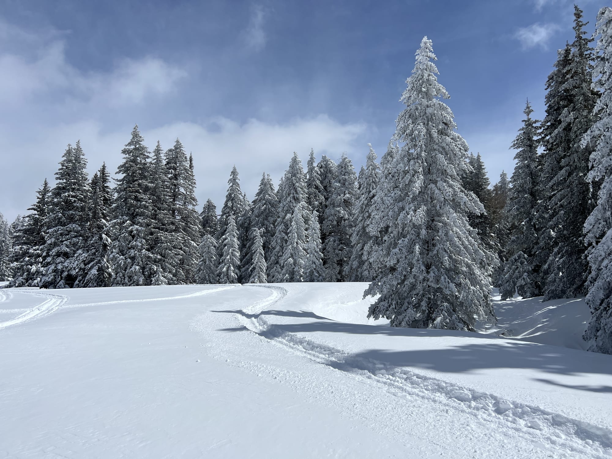 Rocky Mountain Cabin photo
