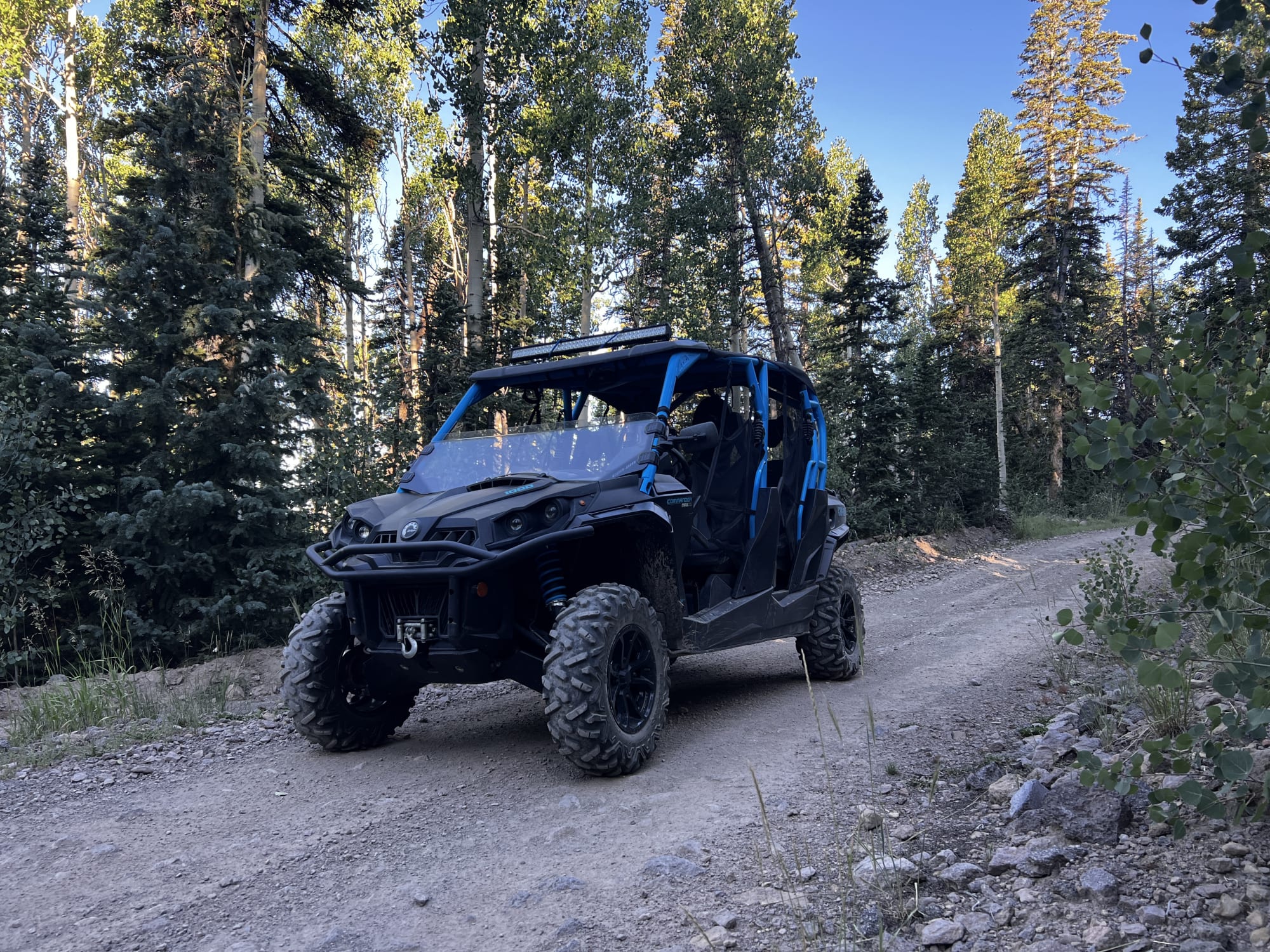 Tony's Beach Side Retreat photo