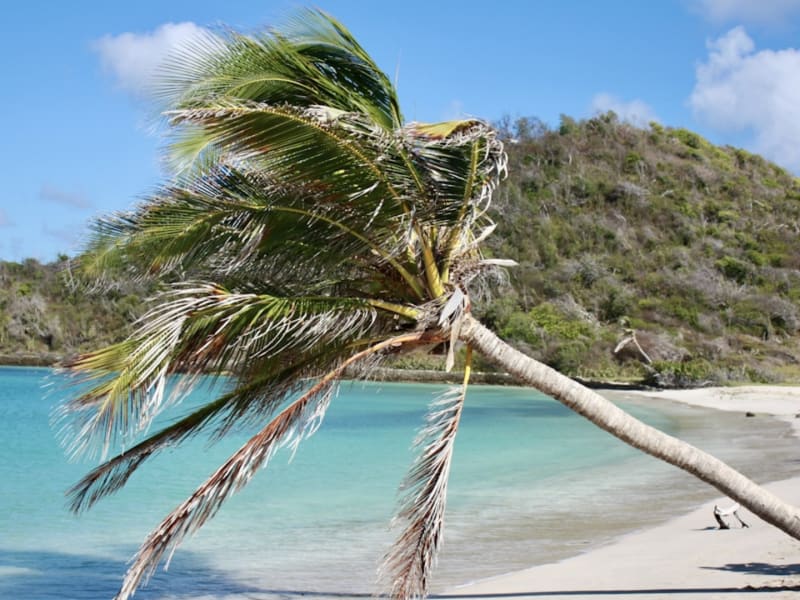 San Andrés
