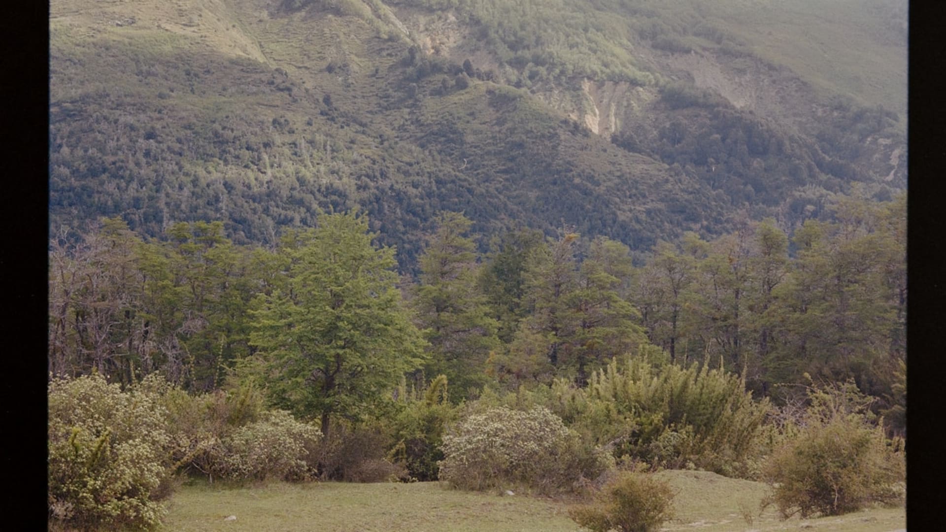 San Martín de los Andes