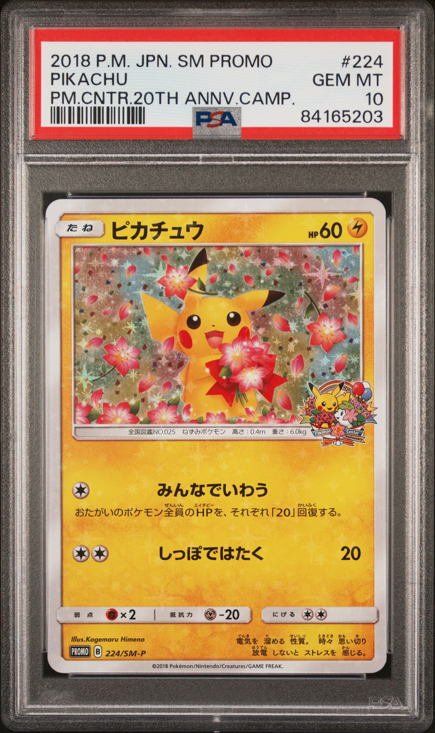 Pikachu 2018 | Pokemon Center 20th Anniversary Promo | PSA 10 - Pokemon Card Lebanon | AslonziTCG