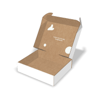 Eear-lock-and-dust-flaps mailer boxes