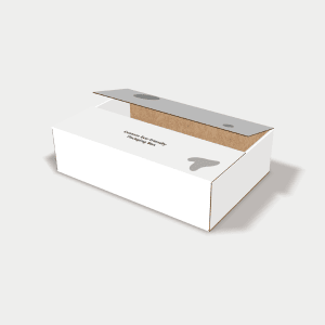 Mockup of a type of box with locking bottom