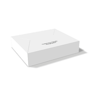  fully customizable envelope box with tab closure