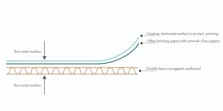 Diagrammatic drawing of the single-face-laminate process