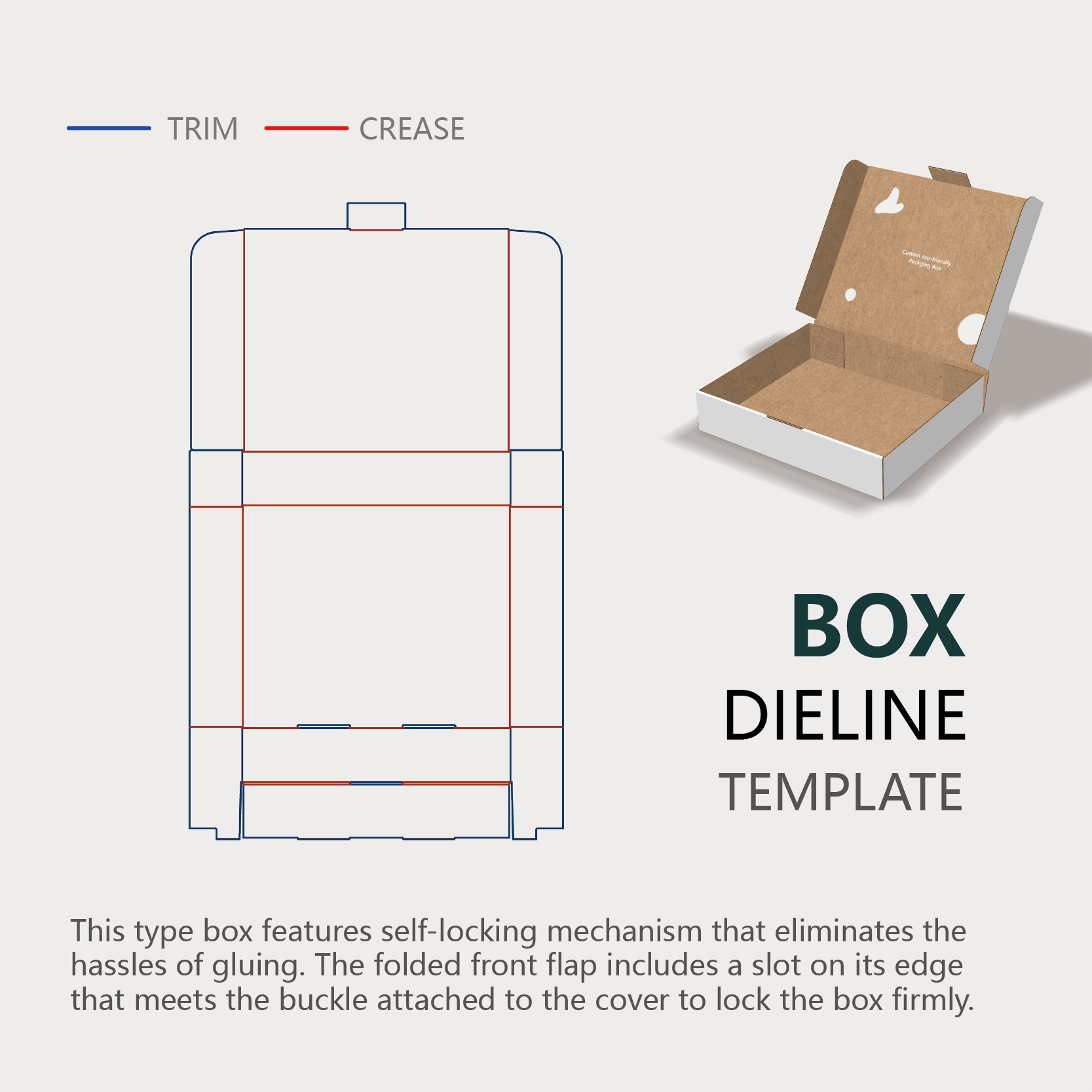 Instruction of a type of mailer box which has cover dust flaps and a lock part.