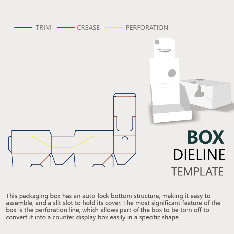  display box dieline template instruction