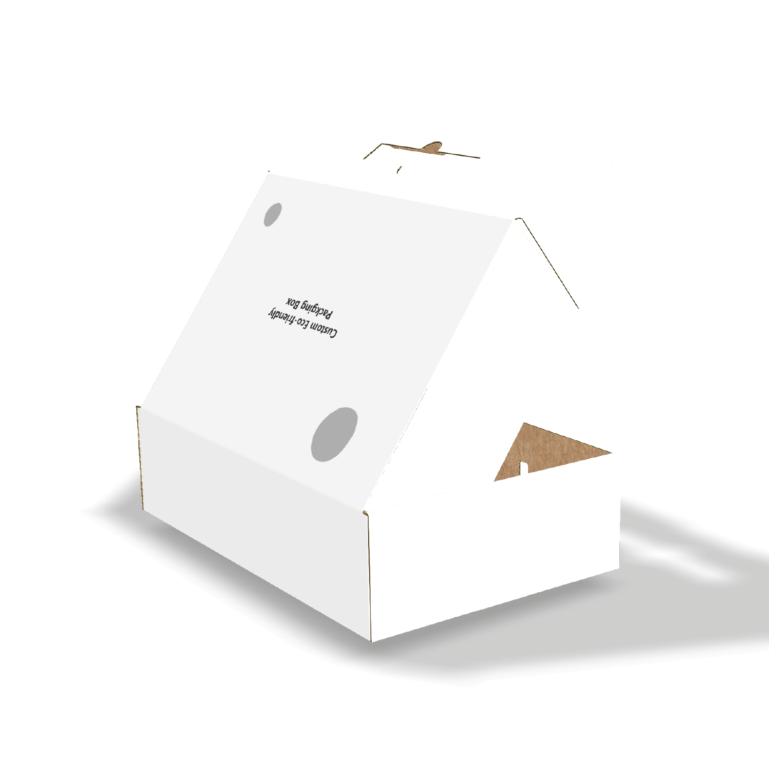  Ear lock mailer box mockup