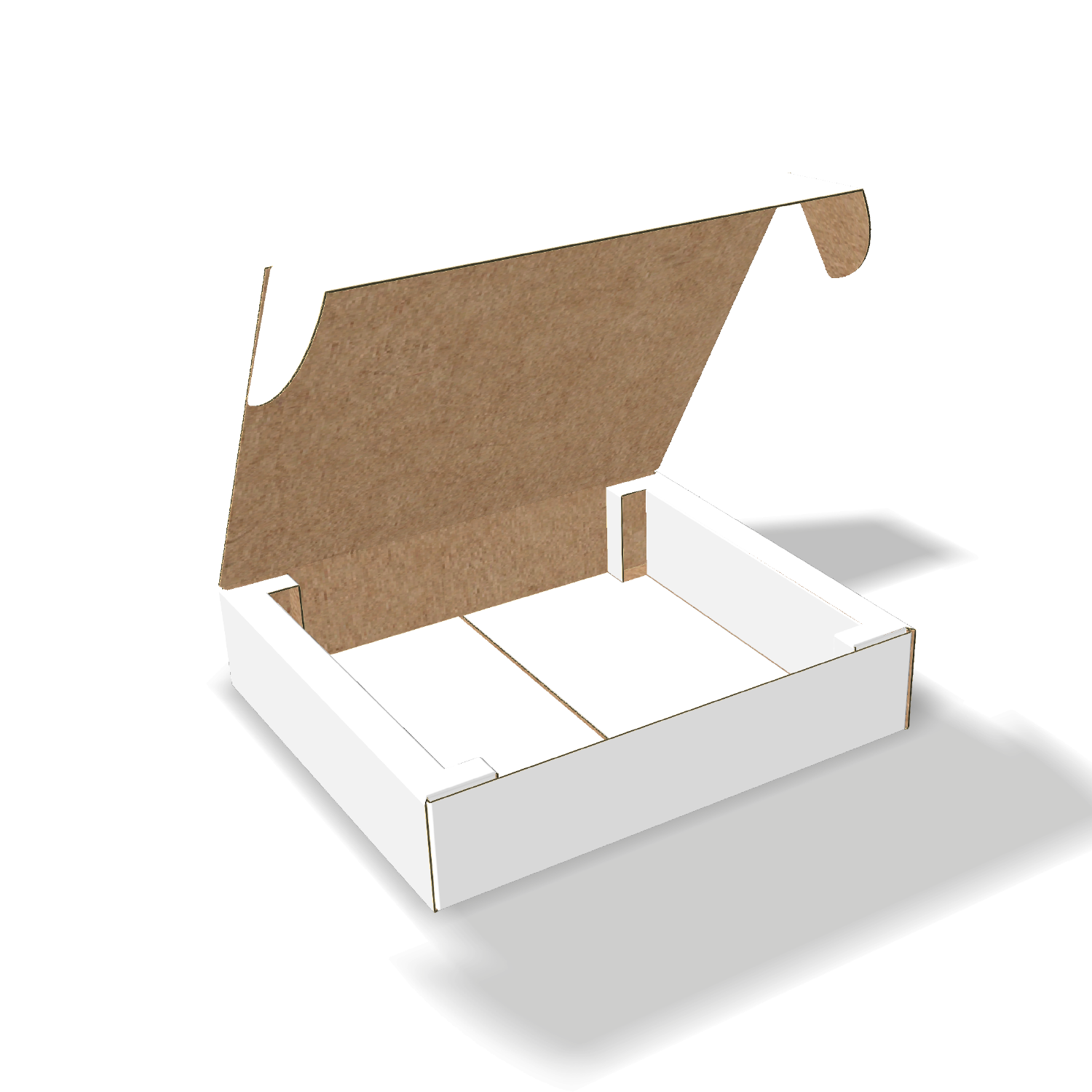  flapless mailer with insert mockup