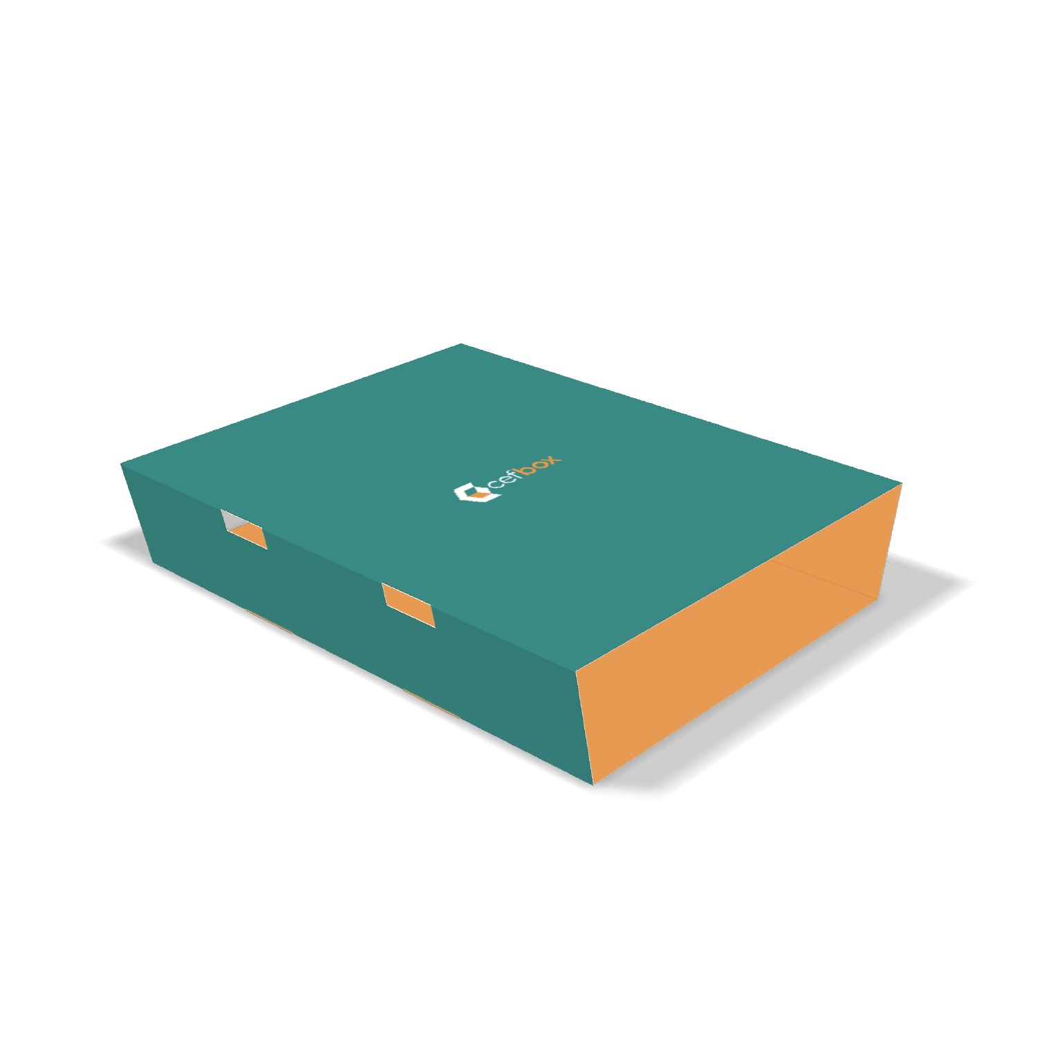  cefbox custom wrap around label packaging sleeve mockup