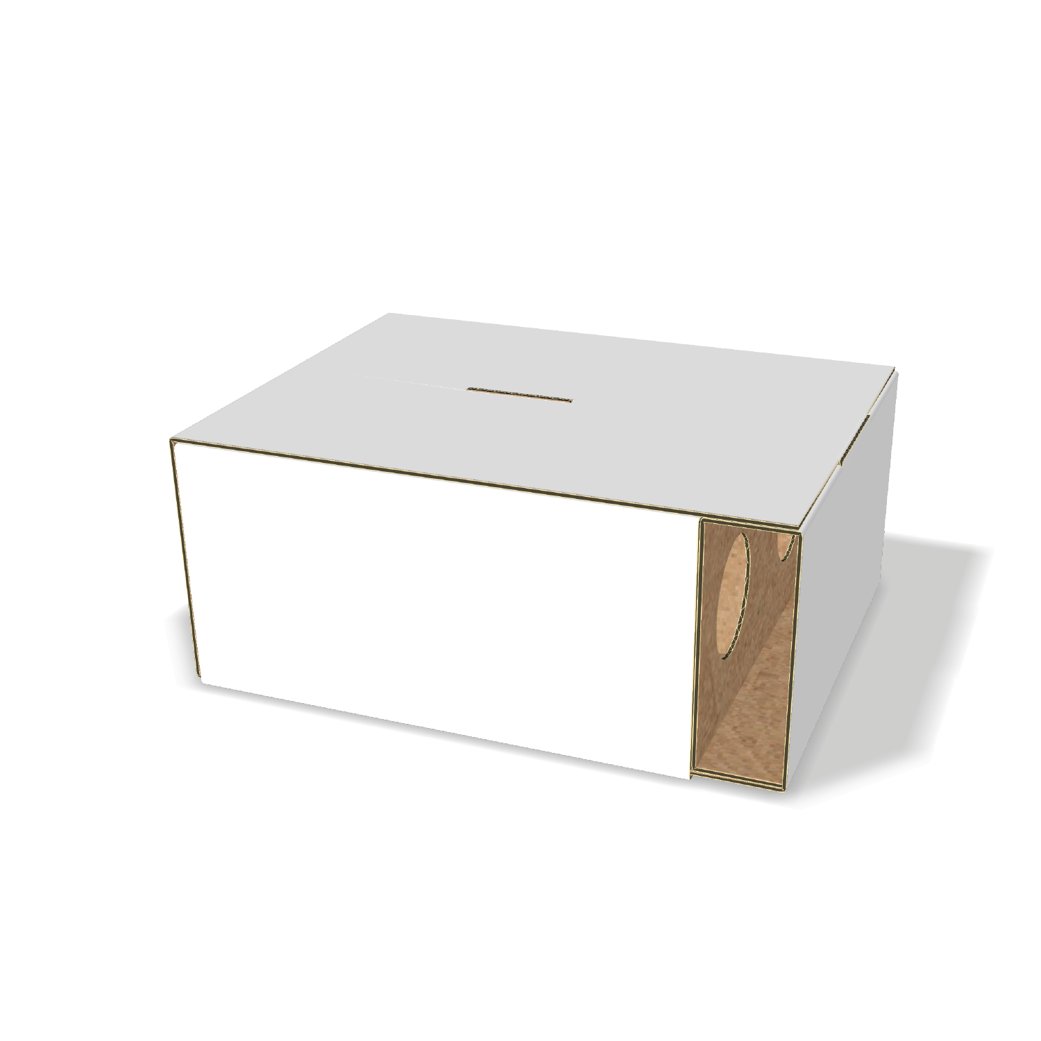  custom two bottle insert mockup