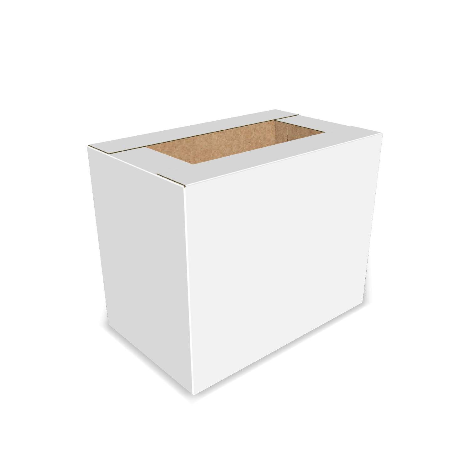 Two-dimensional FEFCO 0209 vector dieline diagram alongside a 3D folded mockup of the custom cardboard box design.