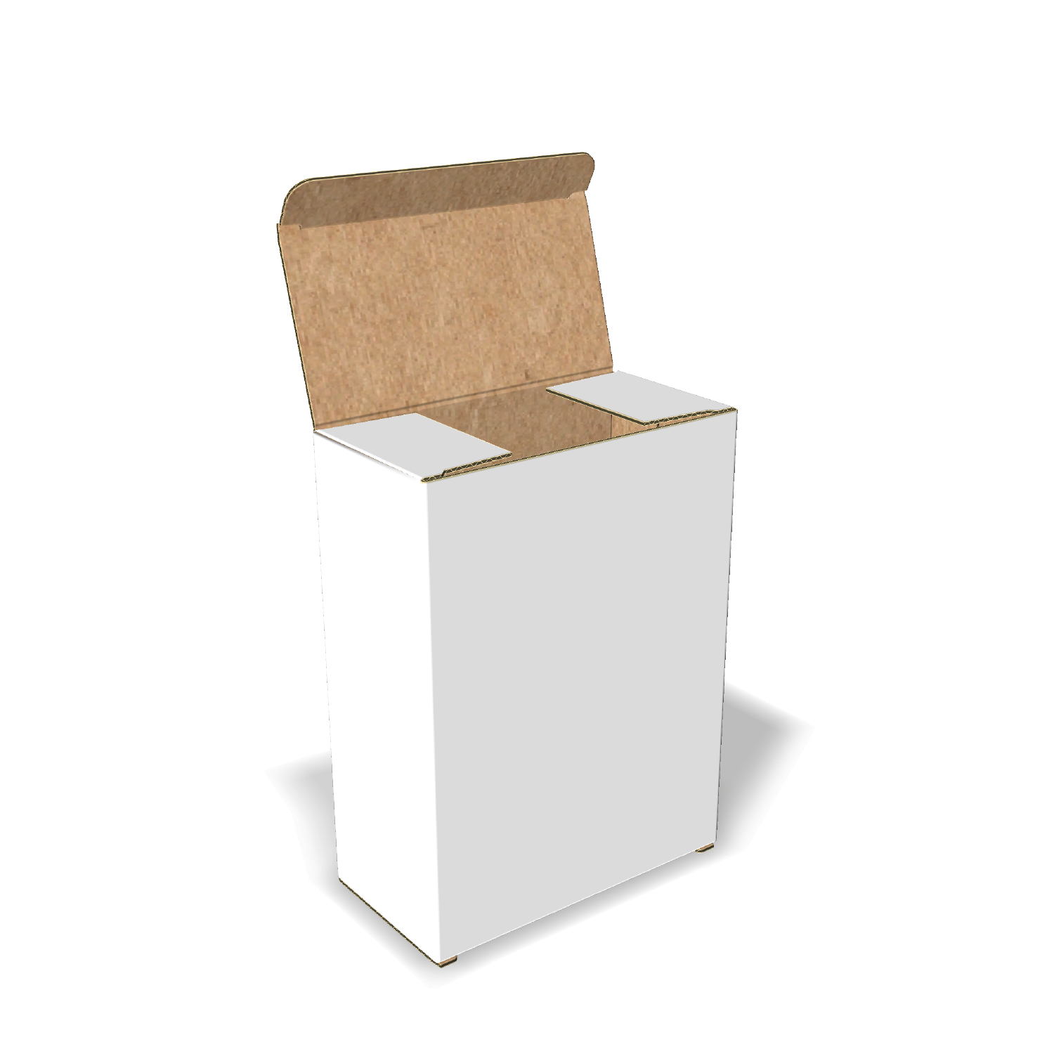 Two-dimensional FEFCO 0210 vector dieline diagram alongside a 3D folded mockup of the custom cardboard box design.