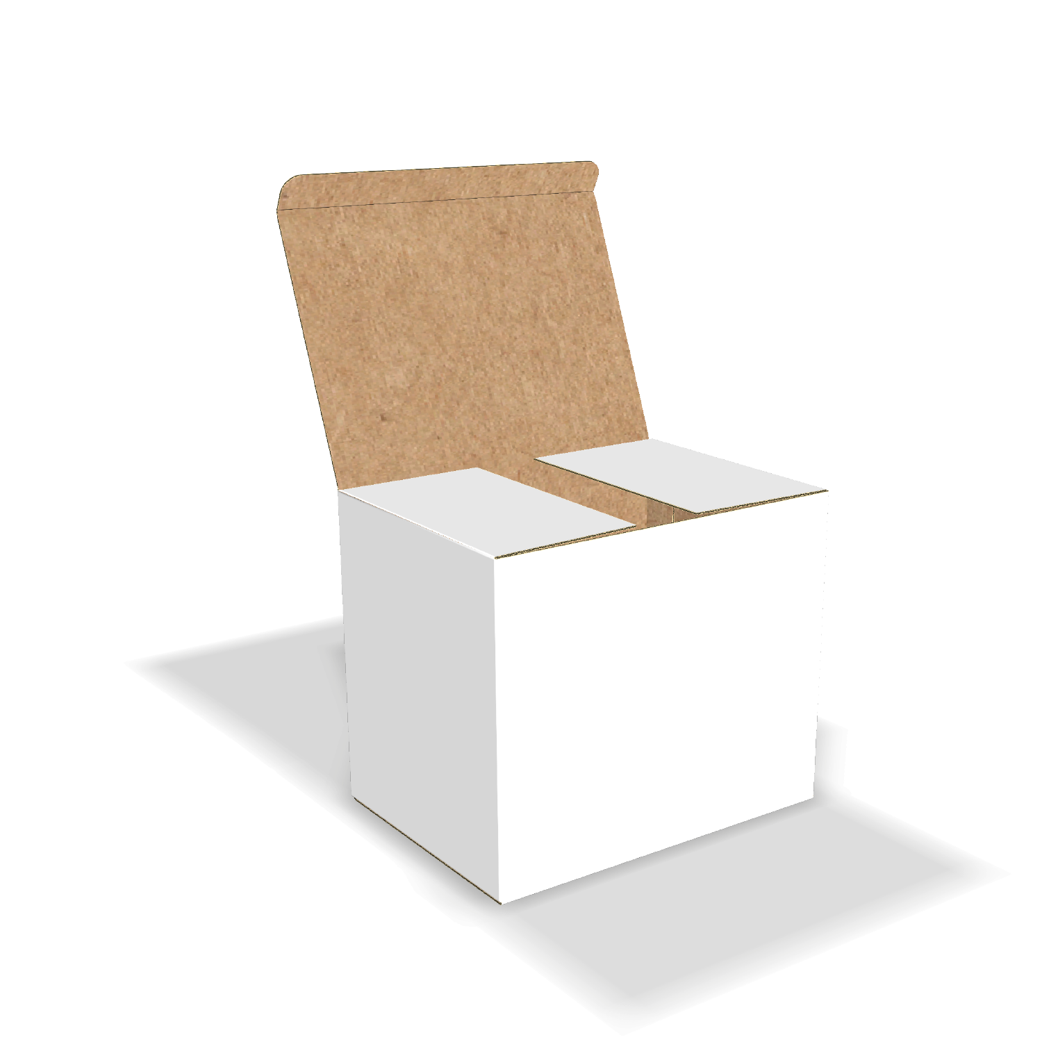 Two-dimensional FEFCO 0211 vector dieline diagram alongside a 3D folded mockup of the custom cardboard box design.