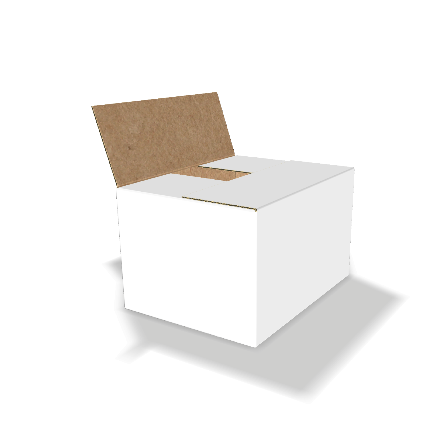 Two-dimensional FEFCO 0216 vector dieline diagram alongside a 3D folded mockup of the custom cardboard box design.